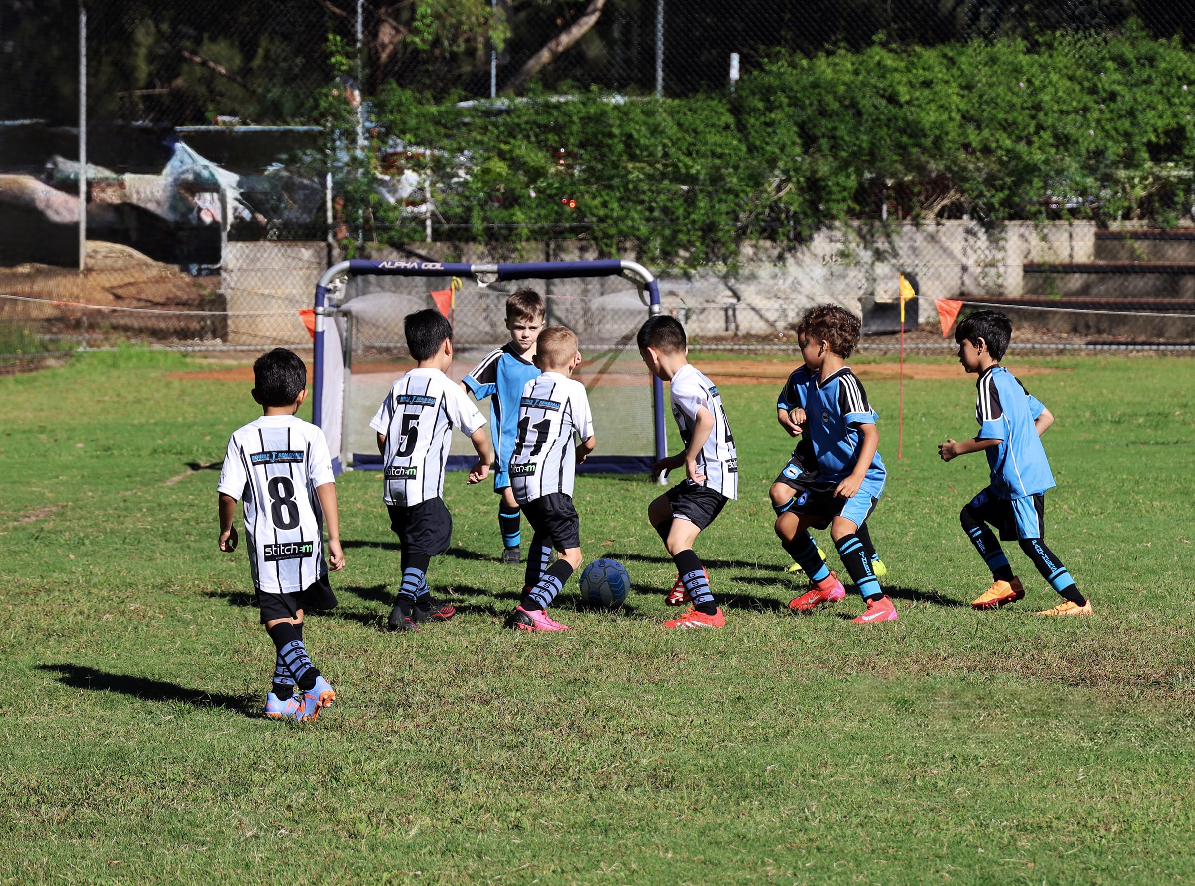 MiniRoo Football Clubs Near Me Gladesville Sharks FC miniroo-football-clubs-near-me-gladesville-sharks-fc
